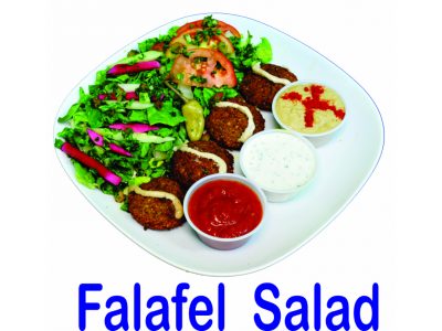 Donair Surrey - Falafel Salad Surrey BC Mr Greek Donair Shop